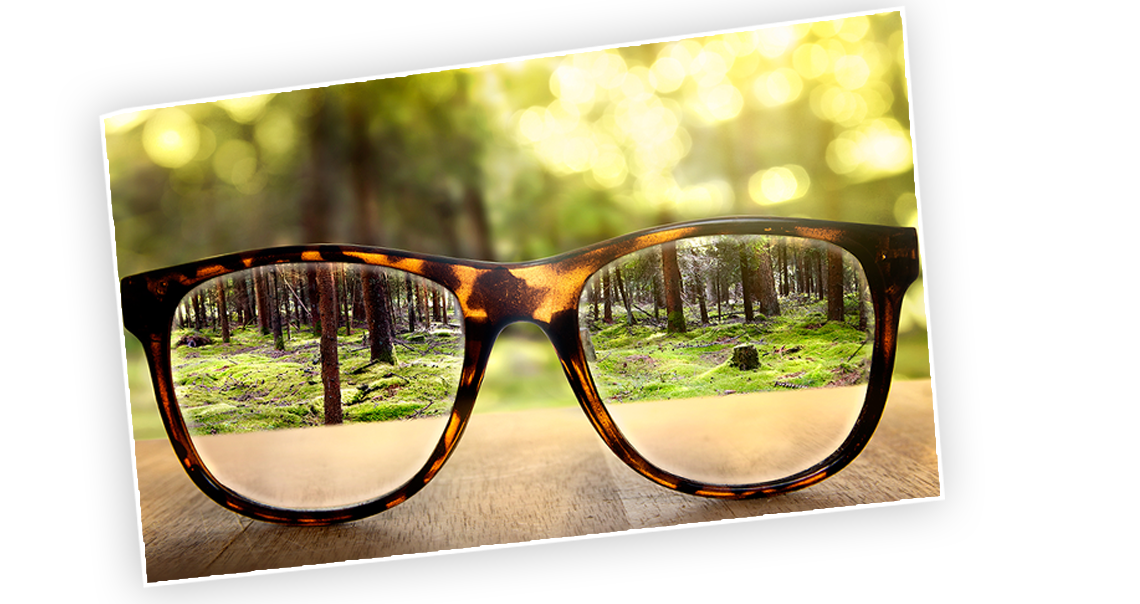 Optik Mannhart Roding – … die modische ART zu sehen